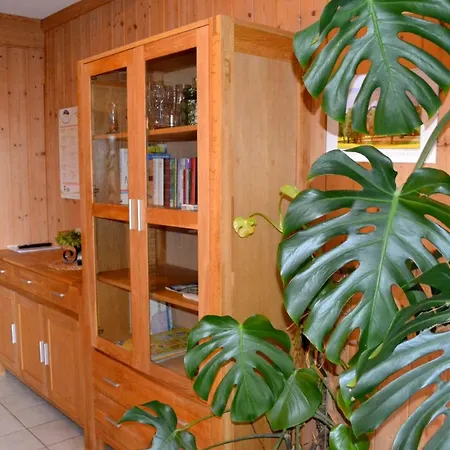 Gaestehaus Pfisterer Bad Schallerbach