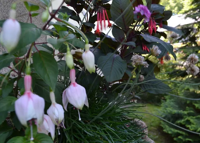 Gaestehaus Pfisterer Penzion 3*