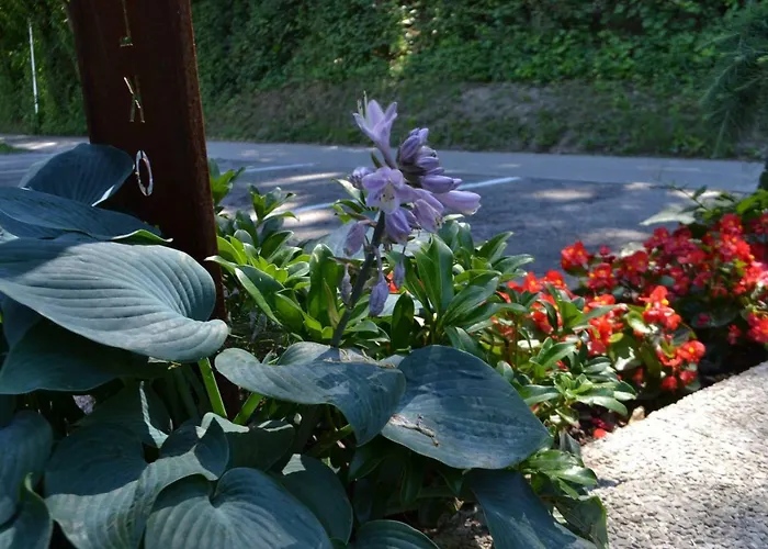 Gaestehaus Pfisterer بيت ضيافة باد شيلاباك