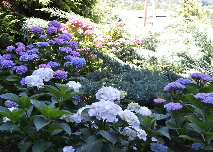 بيت ضيافة Gaestehaus Pfisterer 3*