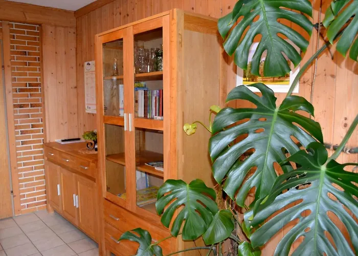 Gaestehaus Pfisterer باد شيلاباك